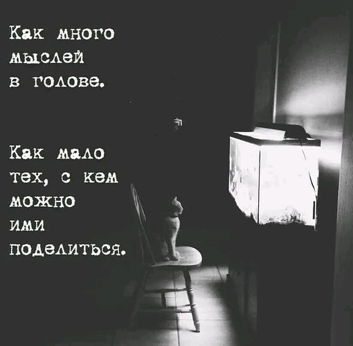  ! - 10  2024  21:01