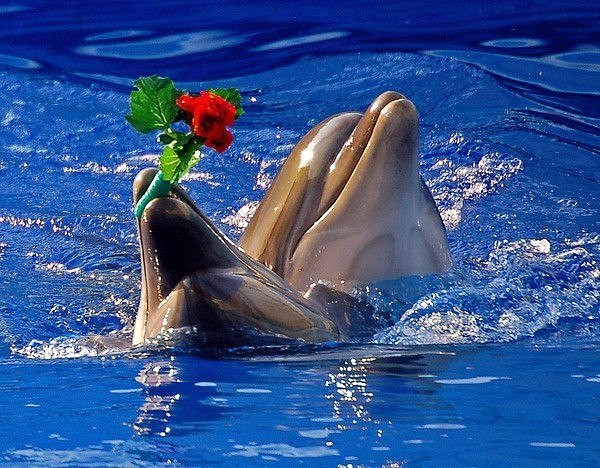 ������ ������� - 14 ������ 2025 � 11:07