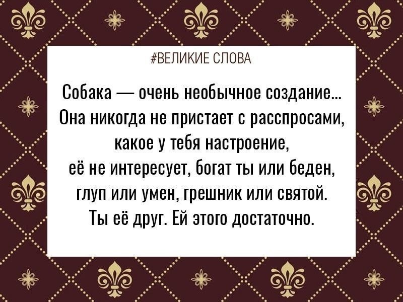 ������� ����� | ������, ����� � �������� - 26 �������� 2025 � 19:45
