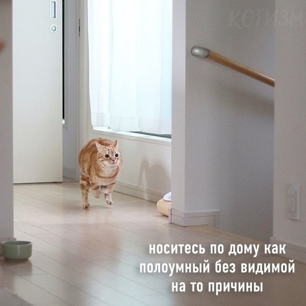   : - 3