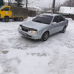 Aleksandr, �����������, 36 ���