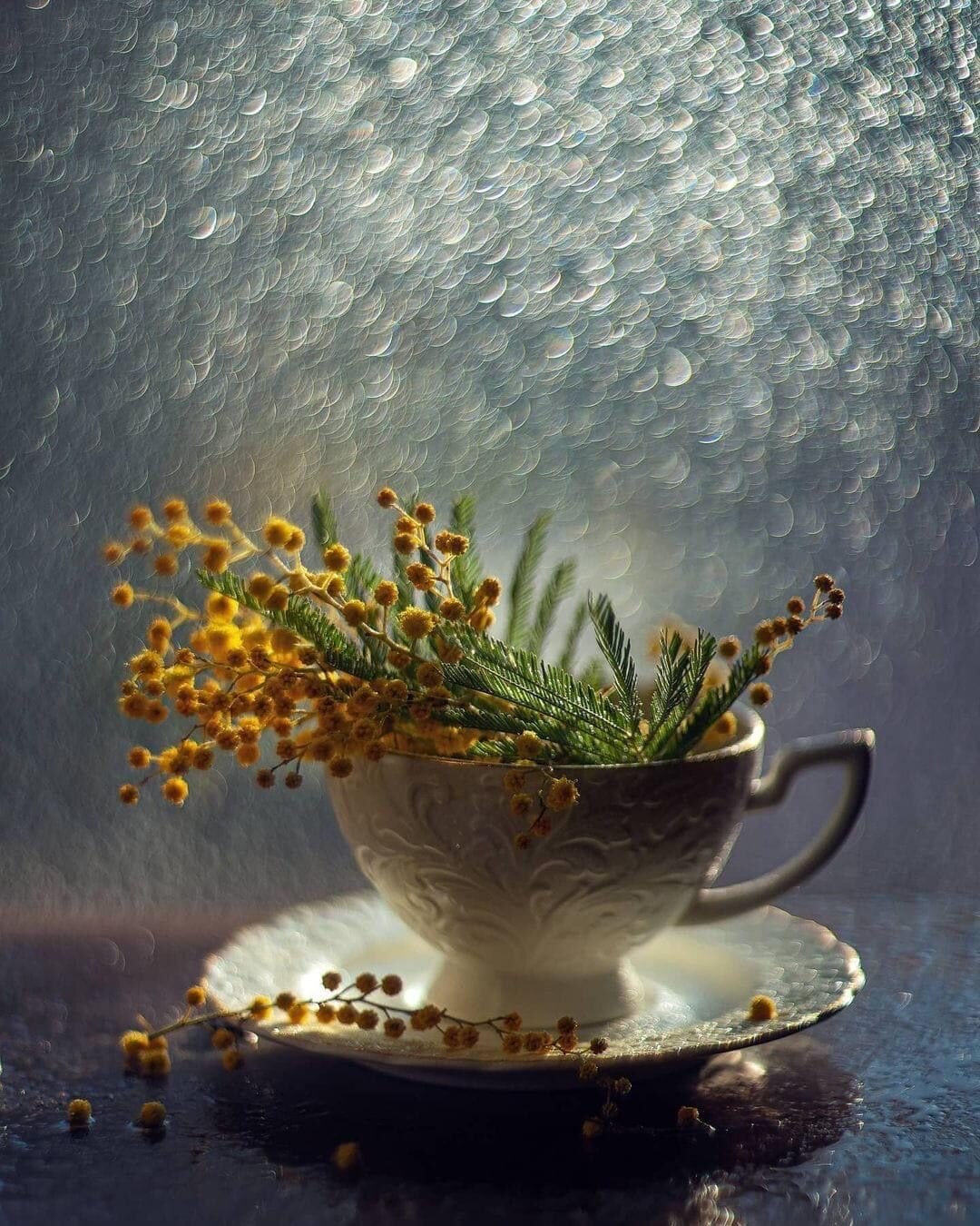 -  , -  ,    , -  ,    ,  ...