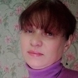 ����, �����-���������, 53 ����