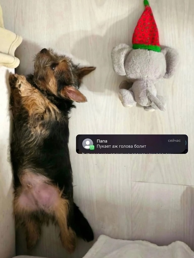 -   !     - 3