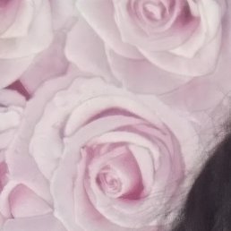 ���, �������, 40 ���