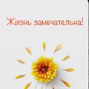 ���� ��������, ���� - ��������� 1 ������� 2024 � ������ ���� ����������