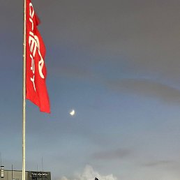 ���, ������������, 56 ���