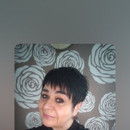 , 52, 