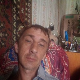 , 43 , 