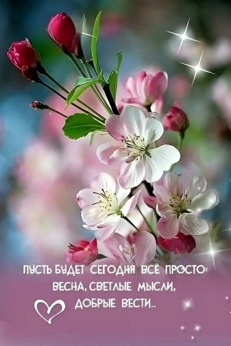  (   ) - 17  2025  10:02