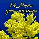 ���� �, ������ - ��������� 14 ����� 2026 � ������ ������ ��������