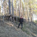 ���� ��������� ���������, ������, 41 ��� - ��������� 3 ������ 2024 � ������ ���� ����������