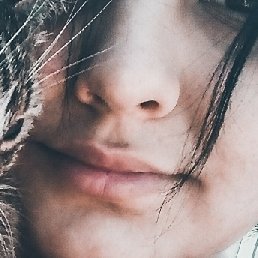 ����, ���������, 24 ����