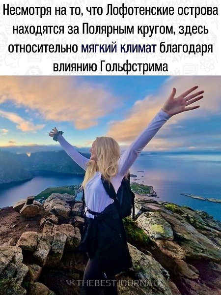 Познакомьтесь с Лофотенами — местом, где природа удивляет на каждом шагу - 3
