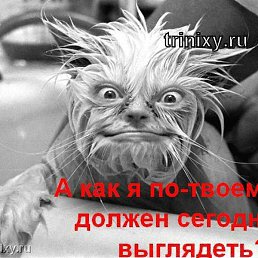 ��������, ����������, 60 ���