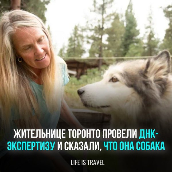 Компания занимается генетическими исследованиями, проводит анализ родословных домашних питомцев и ...