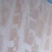 ��������, 44 ����, �����-���������