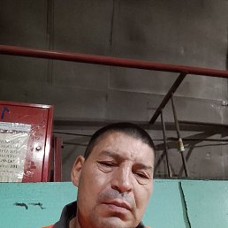 , 45, 