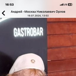 , 61, 