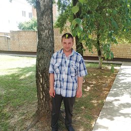 ���� ������, �����, 38 ��� - ��������� 27 ��� 2024