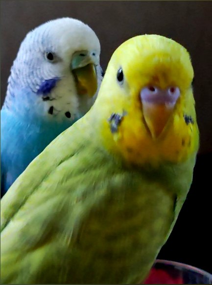  -  ! - 7  2025  22:17