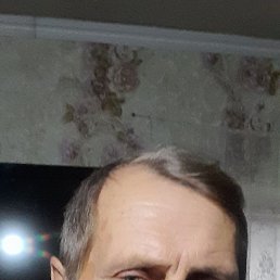 , 64, 