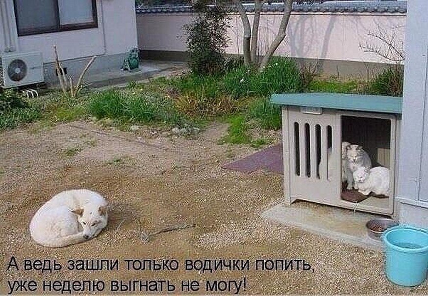 ? ,  ! - 4  2025  08:37