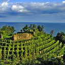 ���� ������, ������ - ��������� 8 ������� 2024 � ������ ���� ����������