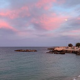 �����, ������, 35 ���