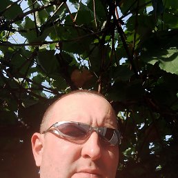 , 44, 