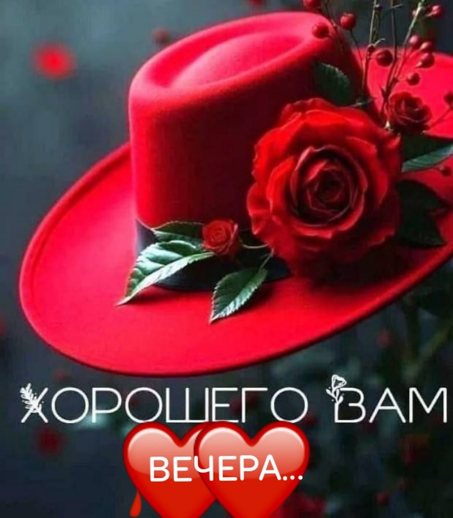   ,    . - 15  2025  14:50