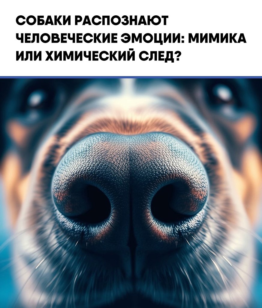 oa  a ae c,   cocooc oa ac cea a. o a eo ...