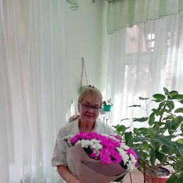 , 65, -