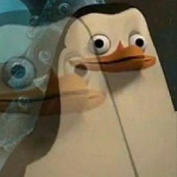 ������, ������, 25 ���