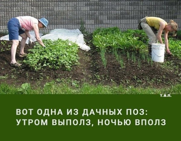 Выйду я , на грядки ... Рано , по утру ... От избытка чувствов , матом заору ..... Я , на огороде ...