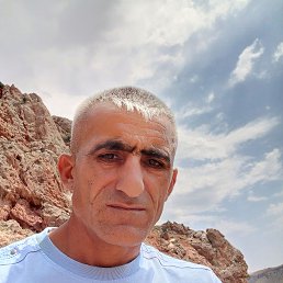 , 41, 