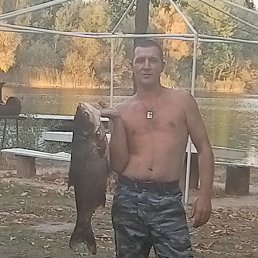 , 34 , 