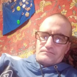 ������, 40 ���, ���������