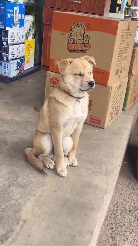 ��� ����� � ��� ������������� ������? - 2