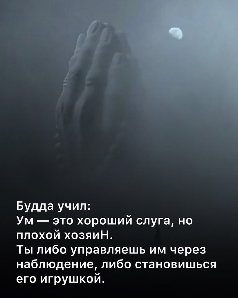 Just Business - 23 октября 2025 в 20:41 - 8