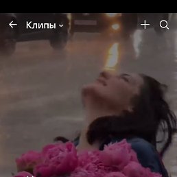 ���� ���������, ��������� - ��������� 14 ������ 2025