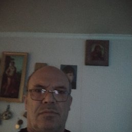 , 55, 