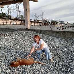 �����, ������������, 55 ���