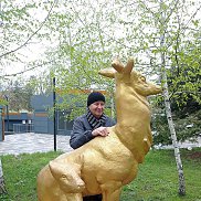 ����, 47 ���, ������