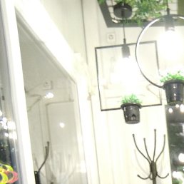 ����, ������-��-����, 47 ���