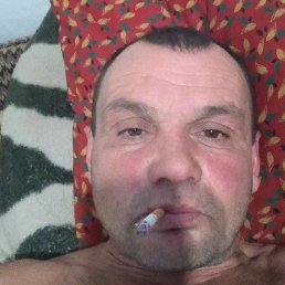 ������, ���������, 49 ���