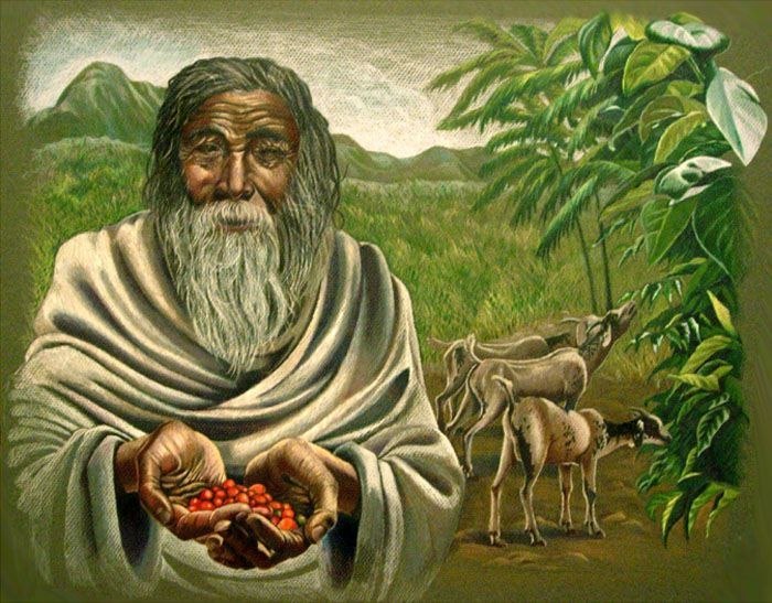   :   .-,   , -    . ...