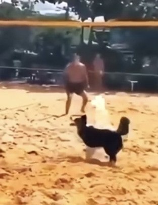 �������� �������� ����� ������ ���� ������ ������! ��� ����� ������, ��� ������ �� ����, � ������� ... - 2