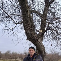 �����, 45 ���, ���������