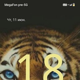 ��������, ������, 57 ���
